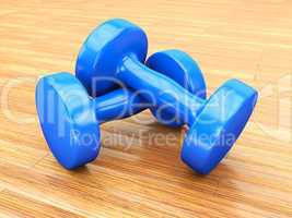 blue weights gym