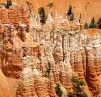 Rock Pillars of Bryce Canyon