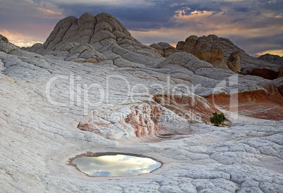 REFLECTING POOL AT WHITE POCKET