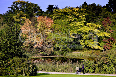 Autumn in Botanical Garden in Copenhagen