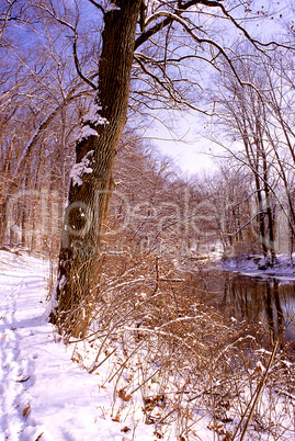 Snow Along Pennsylvania Stream