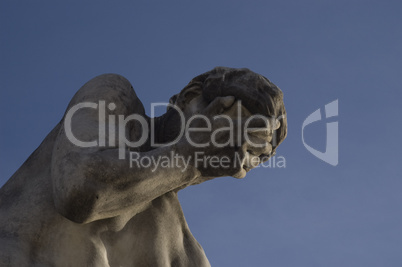 Tuileries Garden Paris France