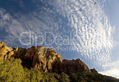 CLOUDS IN ZION CANYON