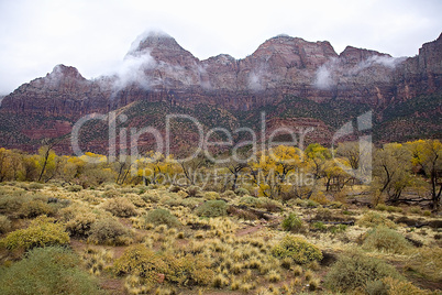 FOGGY ZION CANYON