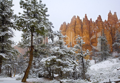 SNOWING IN BRYCE CANYON