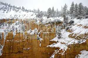 BRYCE'S FAIRYLAND CANYON IN SNOW