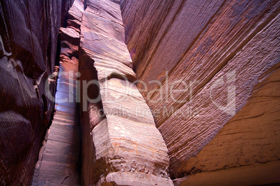 LINES AND SHAPES OF BUCKSKIN GULCH