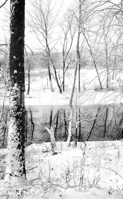 Snow Along a Pennsylvania Stream