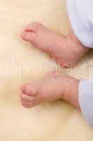 Feet of baby boy