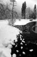MERCED RIVER WINTER BW VERTICLE