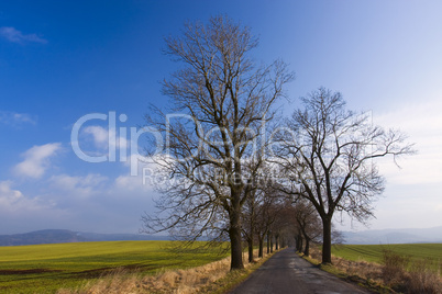 Early spring landscape