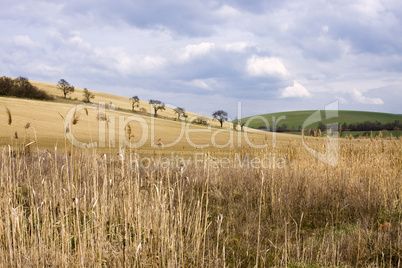 Spring fieldscape near Bucovice, Cz