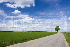 Spring landscape with road