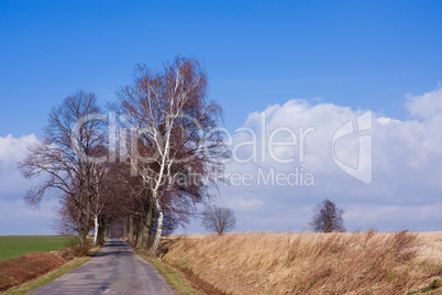 Early spring landscape