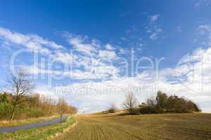 Spring landscape