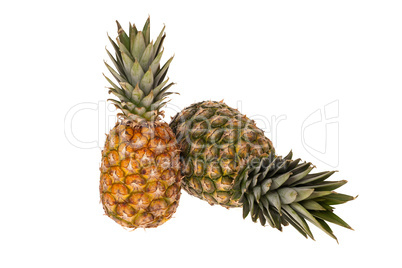 Zwei ganze Ananas Früchte