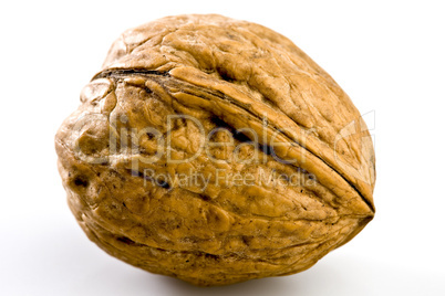 Walnut