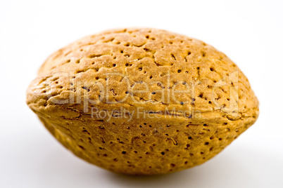 Almond nut