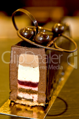 Gourmet chocolate cake