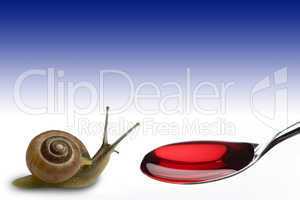 Feeding a snail with red liquid inside