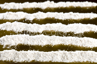 Lines of cocaine