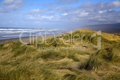 OREGON DUNES