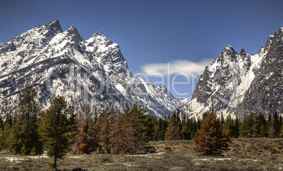 TETON'S CASACADE CANYON