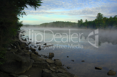 Mist rising from a lake in the wild