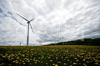 Wind turbine