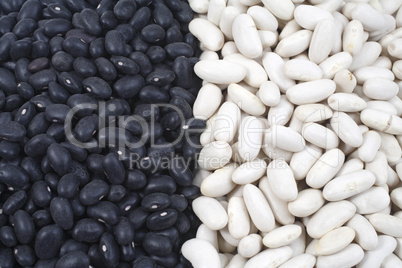 Black beans and white beans