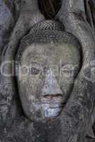 Head of Buddha image in Ayuttaya