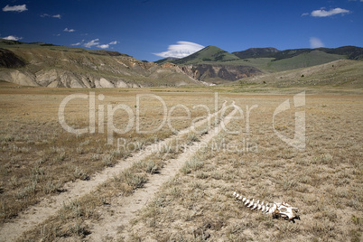 YELLOWSTONE'S DRY CHAPARAL