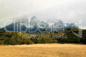 Meadow and Cuernos del Paine