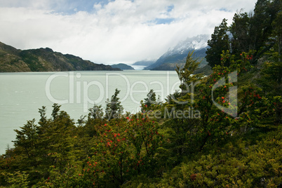 Lago Grey, Torres Del Paine