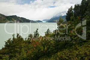 Lago Grey, Torres Del Paine