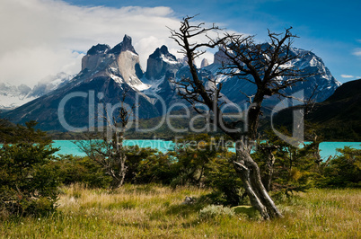 A view across Lago Peho_ to the Curenos del Paine, Torres del Paine National Park, Chile