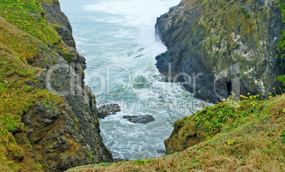 Lava Cliffs, Oregon Coast