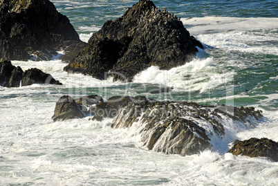 Seal Rocks, Oregon Coast