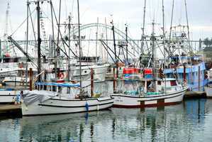Newport, Oregon, Fishing Boats