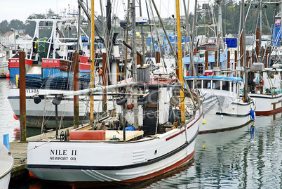 Fishing Boats, Newport, Oregon