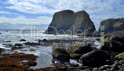 Lava Cliffs, Oregon Coast