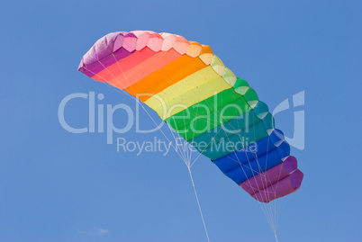 Colourful kite
