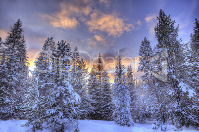 YELLOWSTONE WINTER SUNSET