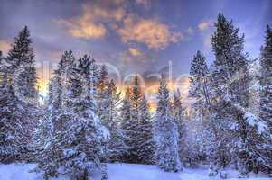 YELLOWSTONE WINTER SUNSET