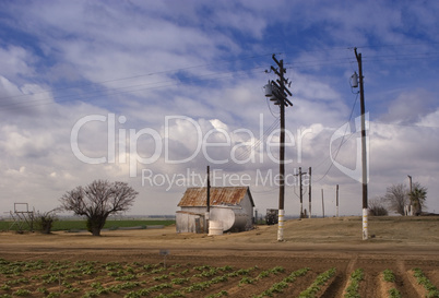 Bakersfield agriculture