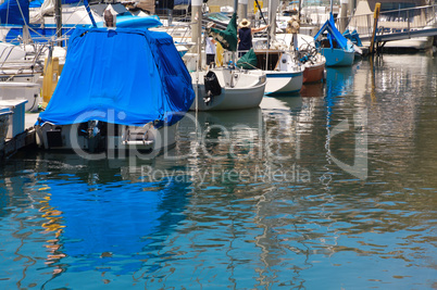 Dana Point Boats