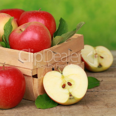 Frisch gepflückte Äpfel in einem Korb