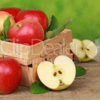 Frisch gepflückte Äpfel in einem Korb