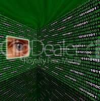 Spyware eye scanning binary code