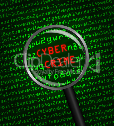 Cyber Crime revealed in computer ma